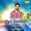 About Teri Baahon Mein Song